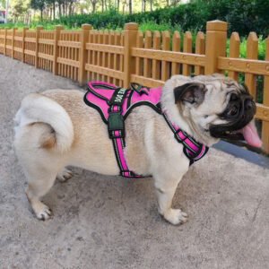 1679556666716_feb7207d-5893-4392-a2b9-1e3f912a555d.jpg FreeMotion - Personalised Y-Shape Dog Harness