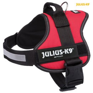 Julius-K9 IDC Powerhám piros méret 1