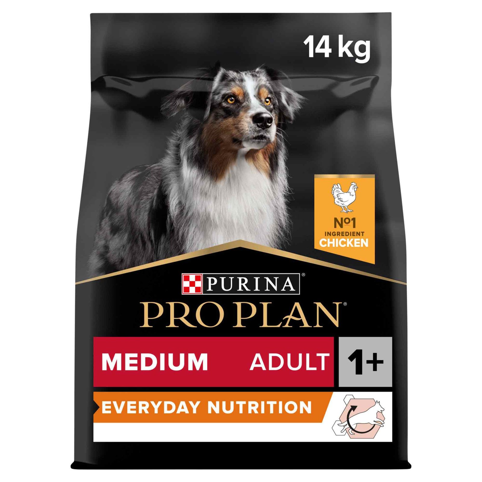 PRO PLAN Medium Adult Everyday Nutrition csirkés